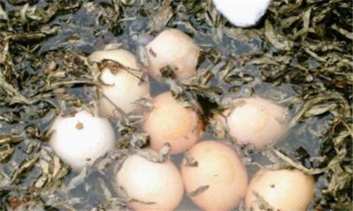 子宫肌瘤|女性不想满脸皱纹,可以吃3种食物,美容养颜,有益健康!