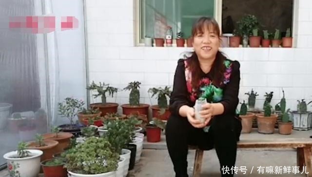 媳妇又给花姐买多肉了,花姐高兴的栽上多肉,院子里全是花,高兴!