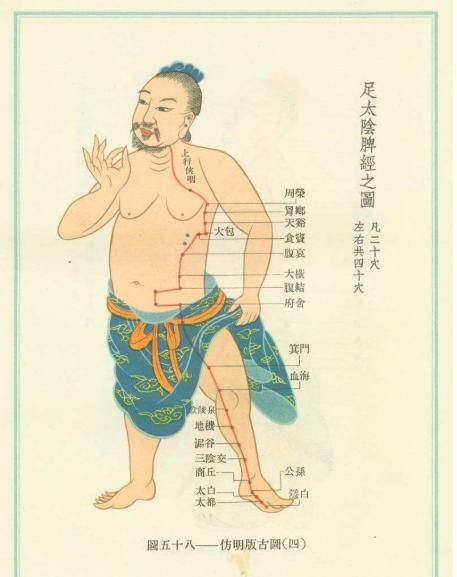 公孙穴|每个人身上都有一个“皇帝穴”,健脾和胃,还能缓解痛经、心痛