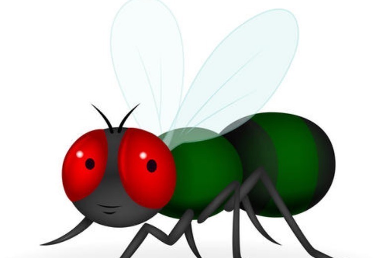 千古名作$和尚看见苍蝇往窗户上撞,悟出首千古名作,短短28字诠释人生至理