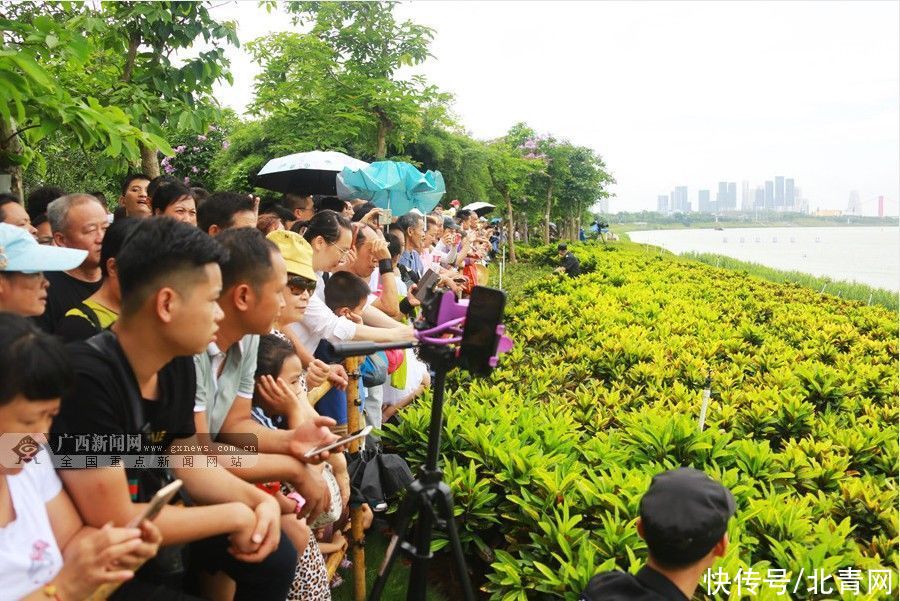 疫情|南宁龙舟赛强势回归！快来看时间地点→