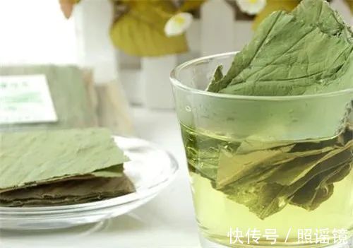人体|辟谣｜喝荷叶茶可快速减肥？