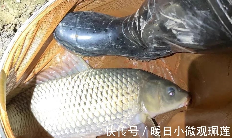 深水|晚上鱼口一定好?难怪你经常空军,夏季夜钓有“四不钓”