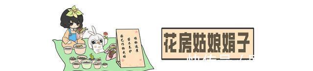 虎头茉莉虽然养殖难度大，但做好这几点，也能轮番开花赛牡丹