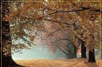 可人天#秋韵、秋思、秋雨!一品古人写给秋天的那些诗句