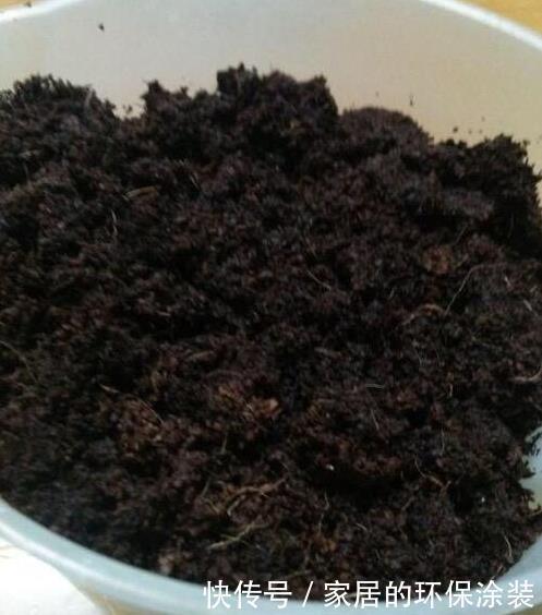 虫子|养花土,用一个塑料袋,轻松杀虫灭菌,花盆里一个虫子都没有