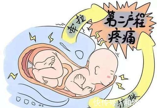 分娩|分娩时“开十指”到底开多大?看完这张图后,网友:妈妈太伟大了