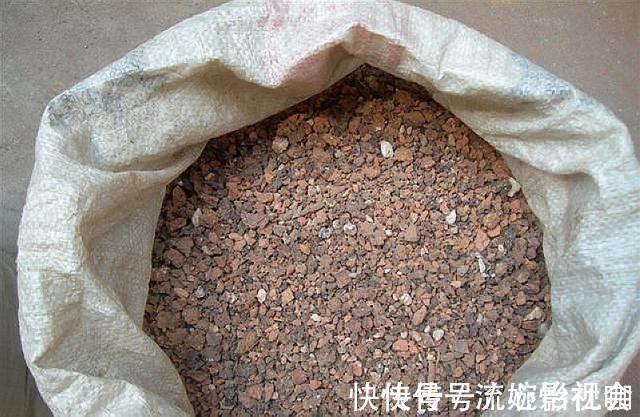 旧土|养花旧土别扔,“3样”东西加一点,土质肥沃,养花特旺,开花多