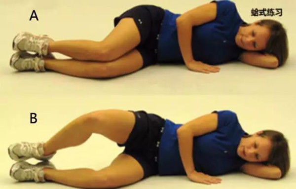 髂胫束|为什么在跑道上 ,女性比男性更容易得跑步膝?