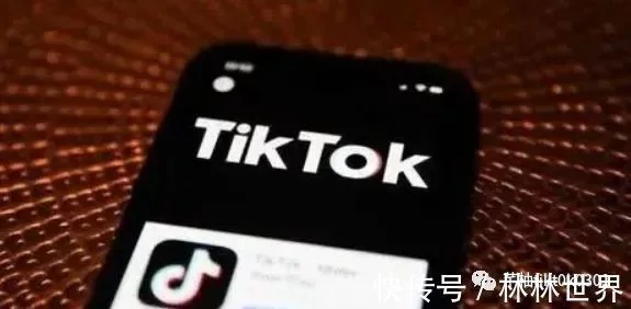 海外抖音tiktok是什么抖音海外版项目如何赚钱（海外抖音tiktok赚钱是真的吗）