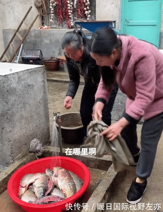牛爱芳晒妻子孕检单,却隐藏关键信息,吃鱼只吃鱼尾,真豪气!