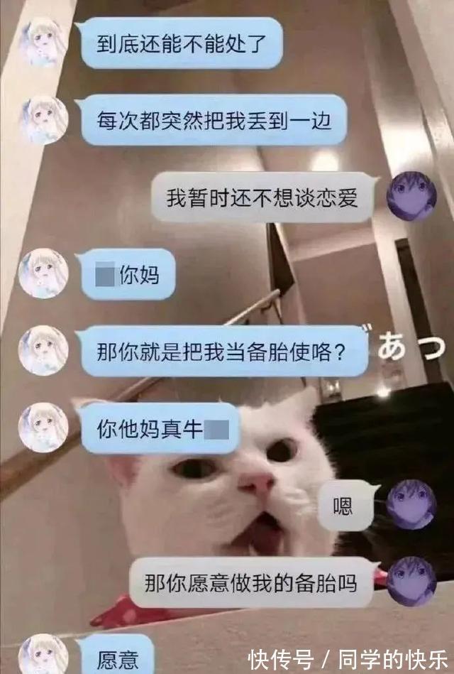 |翻开前信誓旦旦:这一定是米奇 冷段子2023