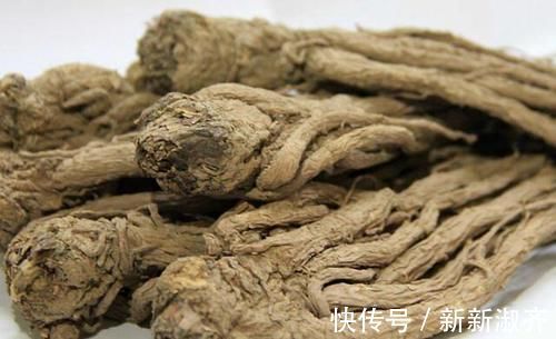 养血|它通血滞、补血虚、润血枯、抚血乱、散血寒,使气血各有所归