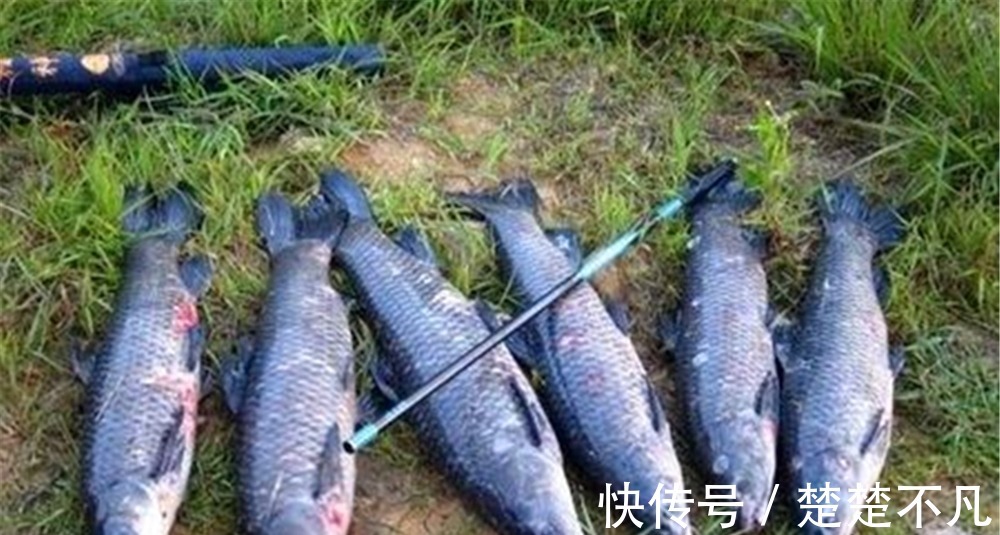 秋季钓鱼,有钓渊、钓阴、钓边几种说法,这钓位到底应该怎么选?