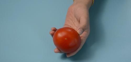 家家|西红柿上放一根牙签,作用真强大,解决家家都困扰的烦恼,太棒了