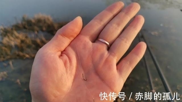 饵料|鱼钩和鱼线的秘密!了解这3种搭配方式,钓起鱼来得心应手
