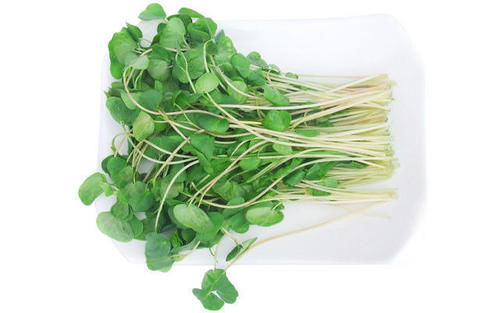 身体|爱吃的人更健康，3种食物不错过，补充营养，滋润身体！