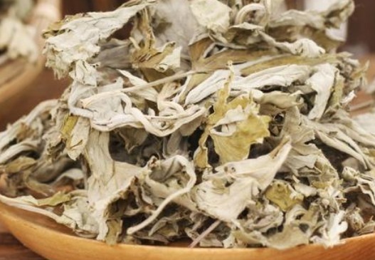 夏季|8个夏季驱蚊小妙招，无毒无害效果好，学会告诉家里人