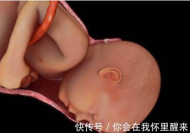 宫颈|顺产提及的“宫口十指”到底是啥概念?得知真相后,心疼顺产妈妈