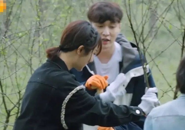 張藝興去雞窩掏雞蛋,看到張子楓的舉動,變開朗了還變調(diào)皮了