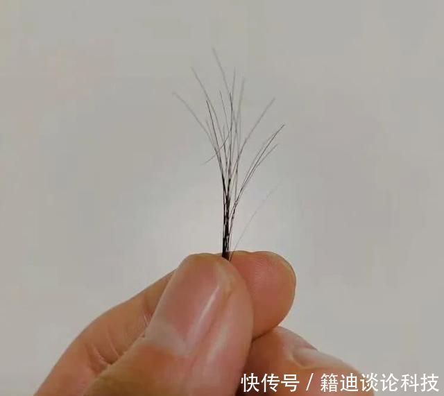 肖战|肖战两年前上《王牌对王牌》,乡土味十足,又唱又跳惨成背景板