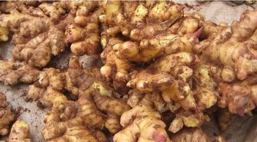 养生|吃姜要不要去皮?吃对养生,吃错伤身,3大禁忌,错一个都不行!