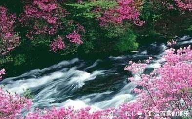 王安石|王安石晚年创作的一首诗,开篇就美不胜收,后两句更寄寓深远