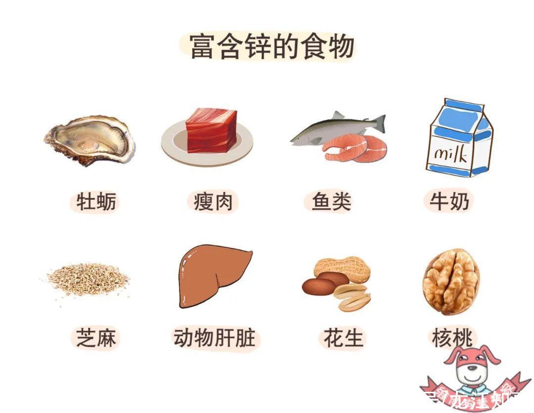 抗氧化酶|抗氧化和自由基是啥意思？想要防衰老，吃啥管用？