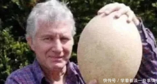 高跟鞋|吉尼斯世界之最:世界上最大的高跟鞋,“最长”的脚你见过吗?