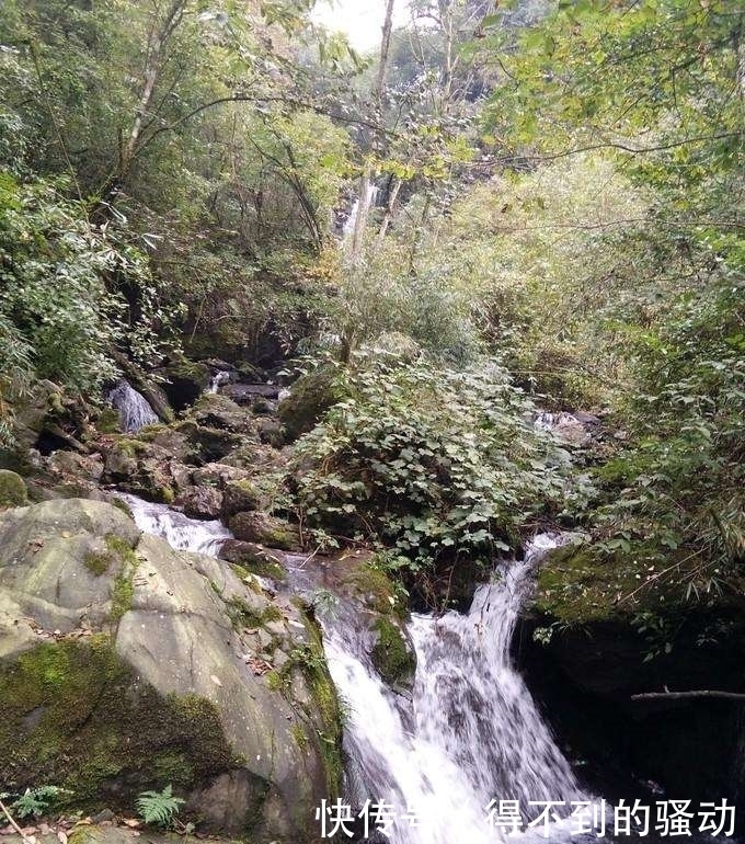 避暑|中国最美峡谷风景区-卧龙谷 最高的避暑休闲、清心养身的天然胜地