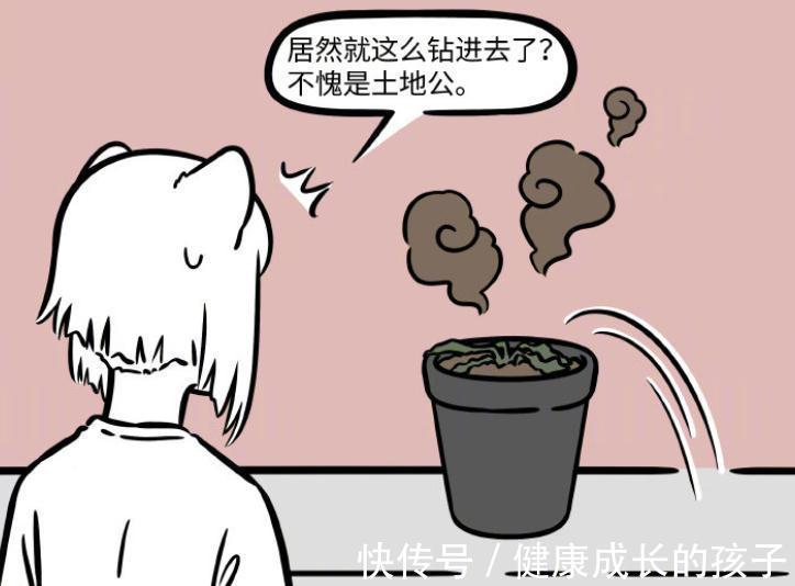 徐哼唧|非人哉:北京租房太贵,九月提供花盆,土地公有了新家