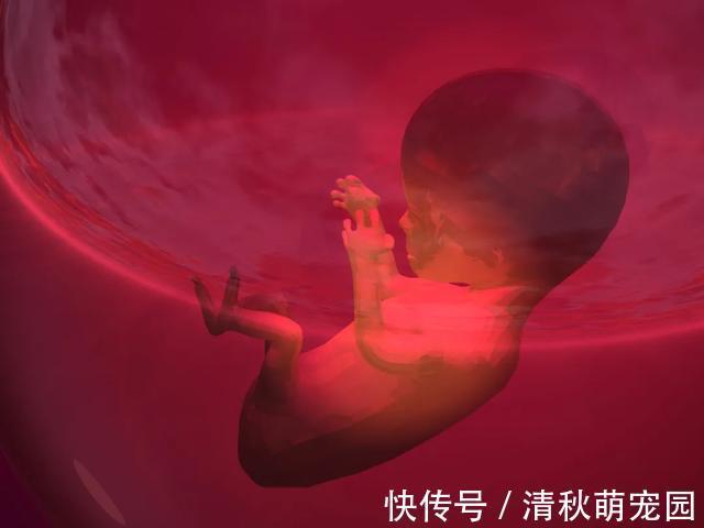 痒痛失三胞胎|31周孕妈忍痒痛失三胞胎:孕期不是所有不适都该忍