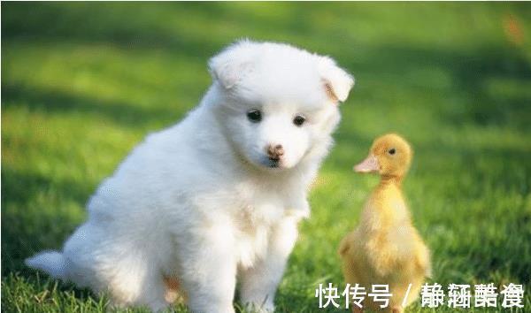 10兔9不全2021年属兔人的真命贵人是谁助你鲤跃龙门!