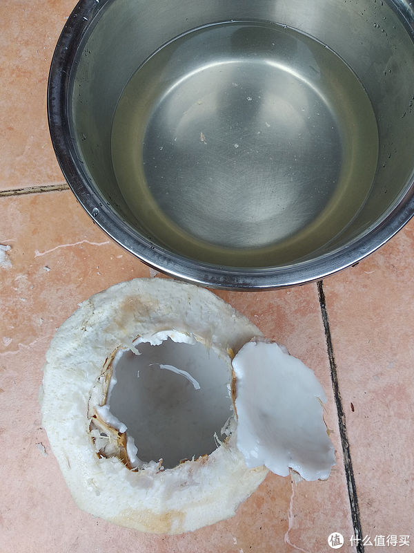 过年在家也能做的简单糖水炖品-椰子奶炖蛋