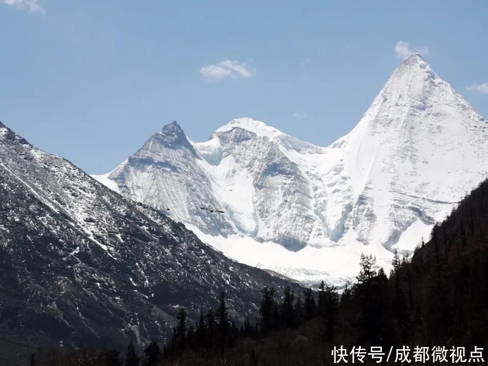 在这片土地上奔跑，和它们一起回到童年时光