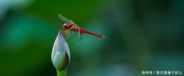 规律!易经:一个人能成事,除了努力,还要悟性,掌握时机有3个诀窍