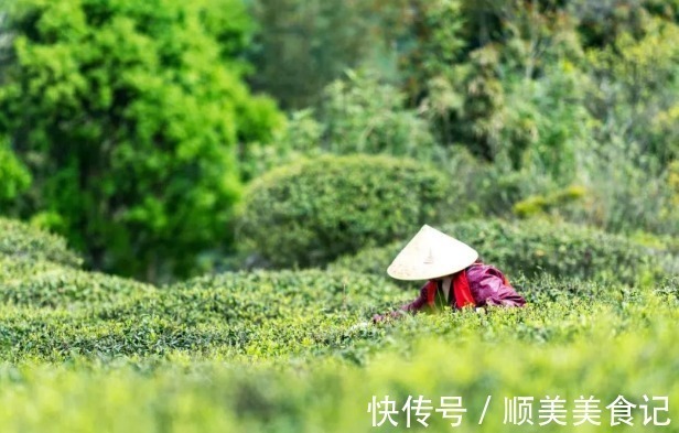 茶叶|中国人的3个喝茶习惯，正在毁掉我们的肾和胃，看看你中了几个？