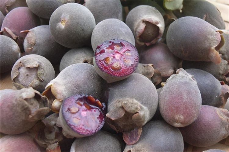 毒素|聪明女性爱吃3种食物,排毒养颜、延缓衰老,早吃早健康!