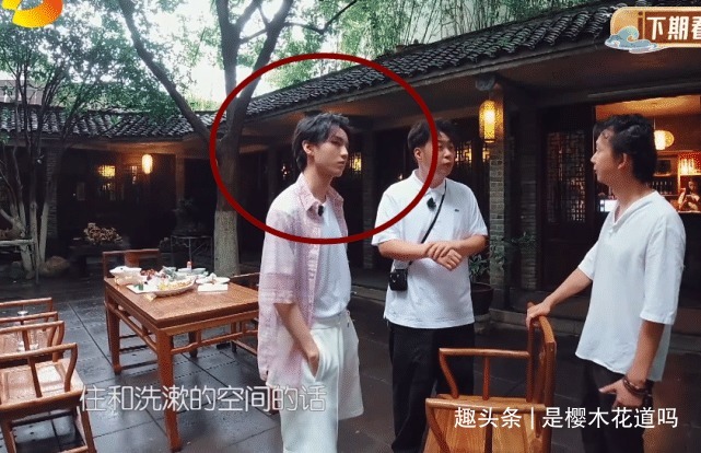 冯伟|王俊凯回归《中餐厅》,注意他穿的啥鞋来干活还是作秀一目了然