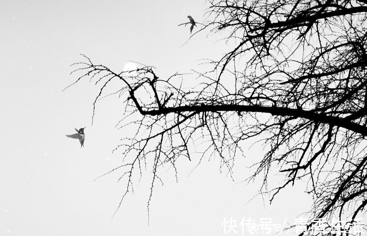 颜小二$带着“肉体”去探索,灵魂是要上当的,《老子》快乐不是享乐