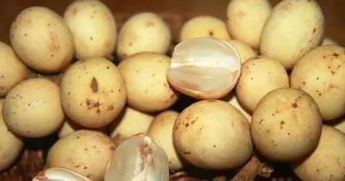 这些水果的名字中都带有“龙”,若你全都认识,请收下我的膝盖