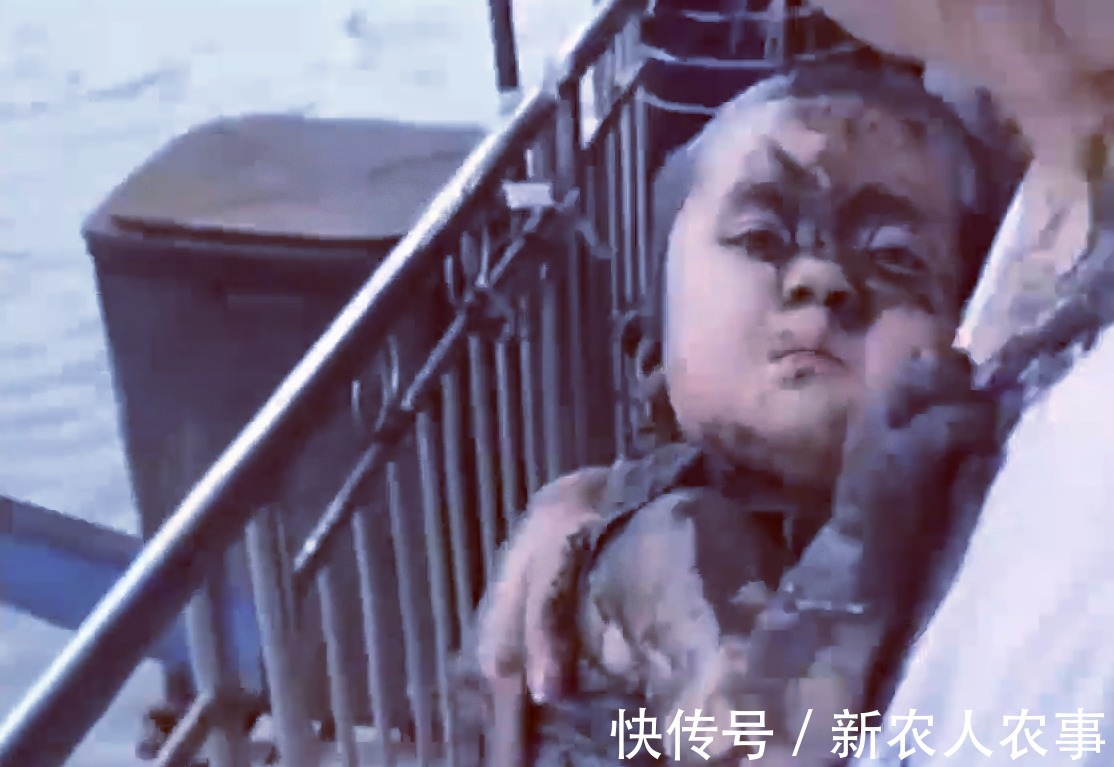 四川|四川一萌娃闹出了笑话,掉进泥潭秒变泥人,爸爸的反应亮了