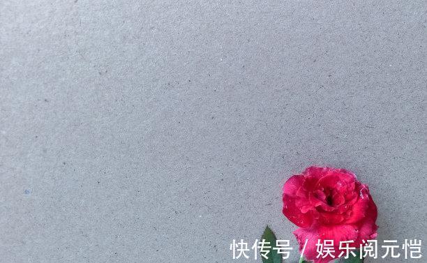 射手座|还有一周，桃花再现，转角偶遇，痴情牵绊，再坠爱河，和好如初见