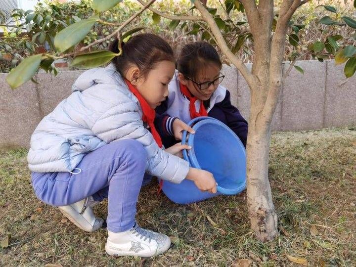 青岛永宁路小学：创新形式开展植树活动，把绿色种在春天