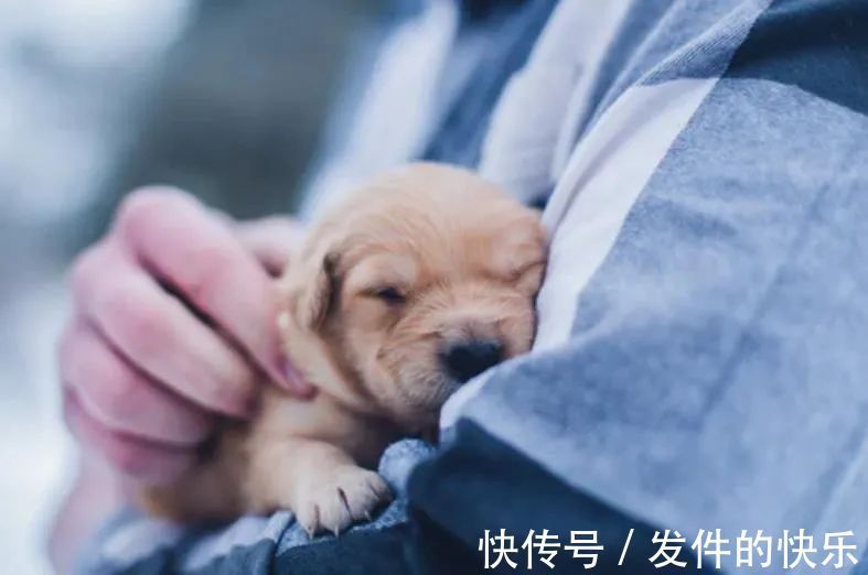 |幽默笑话:小王八蛋