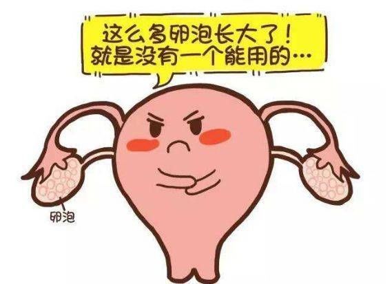 卵泡|有卵泡就能顺利有孕？你要这么认为就错了