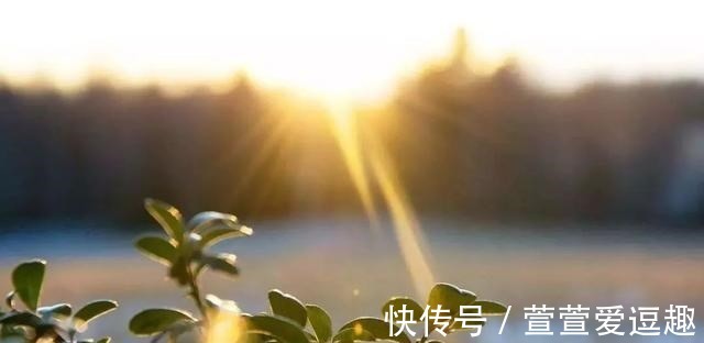 适应能力|心理学家:如果你缺乏自信、极度内向,请坚持做5件事