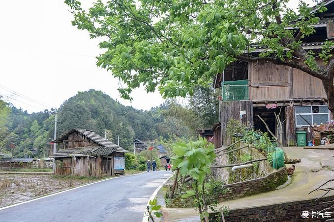 春日徒步旅行 探寻隐藏的小众秘境