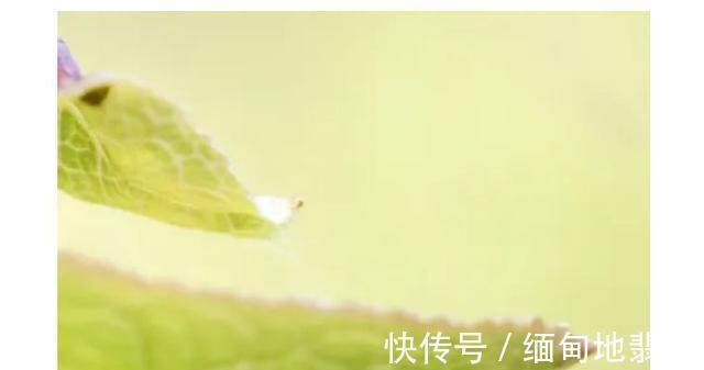 念头|我,45岁,给想生二胎的人提个醒