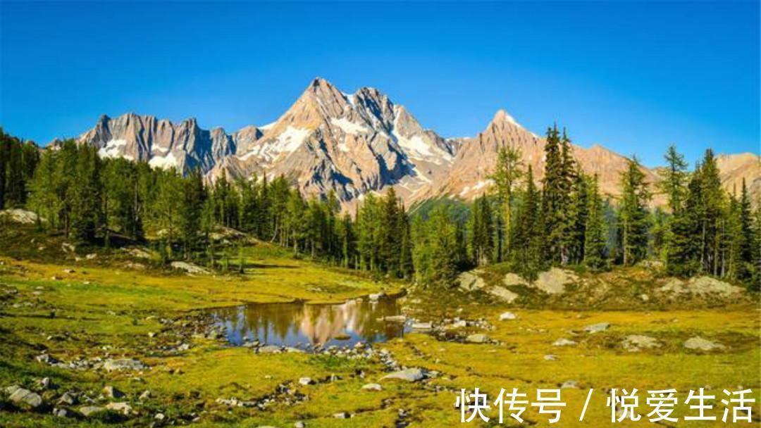 红叶#王维很唯美的一首小诗,通篇写出了新意,每一句都美得令人心醉